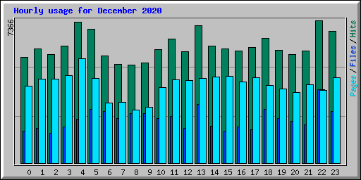 Hourly usage for December 2020