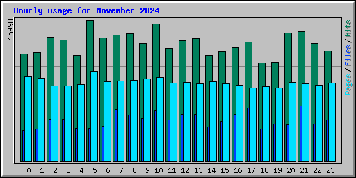 Hourly usage for November 2024