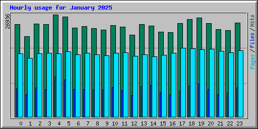 Hourly usage for January 2025