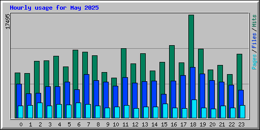 Hourly usage for May 2025