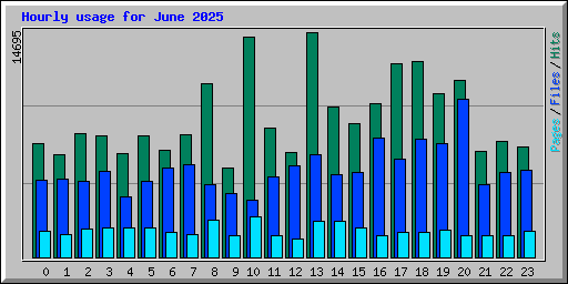 Hourly usage for June 2025