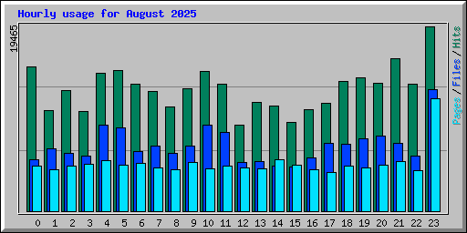 Hourly usage for August 2025