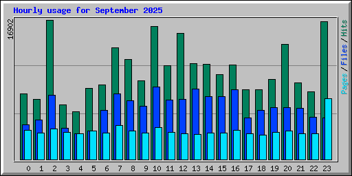 Hourly usage for September 2025