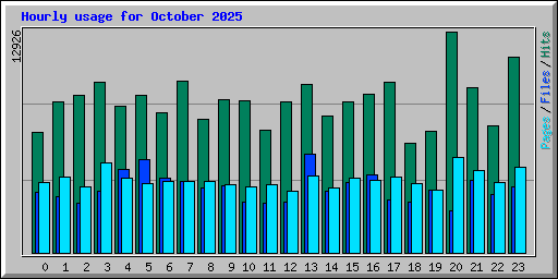 Hourly usage for October 2025