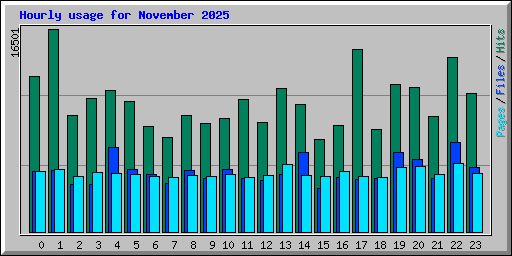 Hourly usage for November 2025