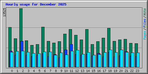 Hourly usage for December 2025