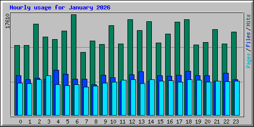 Hourly usage for January 2026