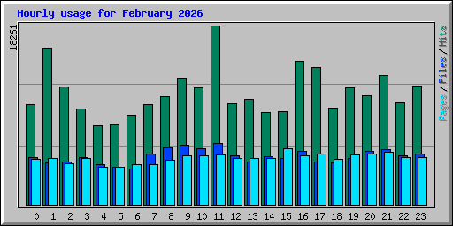 Hourly usage for February 2026
