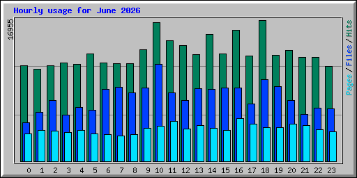 Hourly usage for June 2026