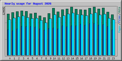 Hourly usage for August 2026